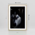 Plakat w ramie 50x70 - Wilk i husky: siła przyjaźni - wilk, husky - rama drewno