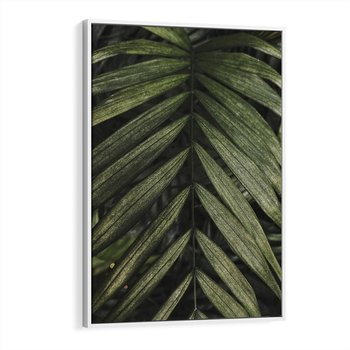 Obraz w ramie 80x120 - W Liściach Ukryte - zdjęcie, fotografia - rama biała