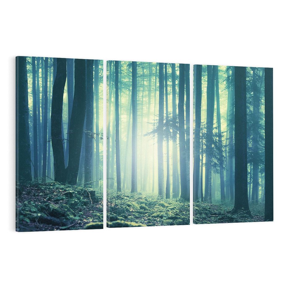 Obraz na płótnie 120x80 - Mistyczny las w mgle - las, mgła