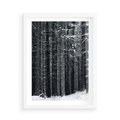Plakat w ramie 50x70 - Leśna Cisza: Malowniczy Pejzaż Zimą - las zimą, ośnieżone pnie drzew - rama biała