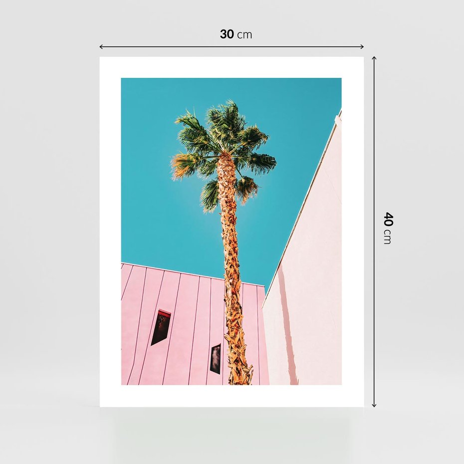 Plakat bez ramy 30x40 - Palma w Miami - palma, miami