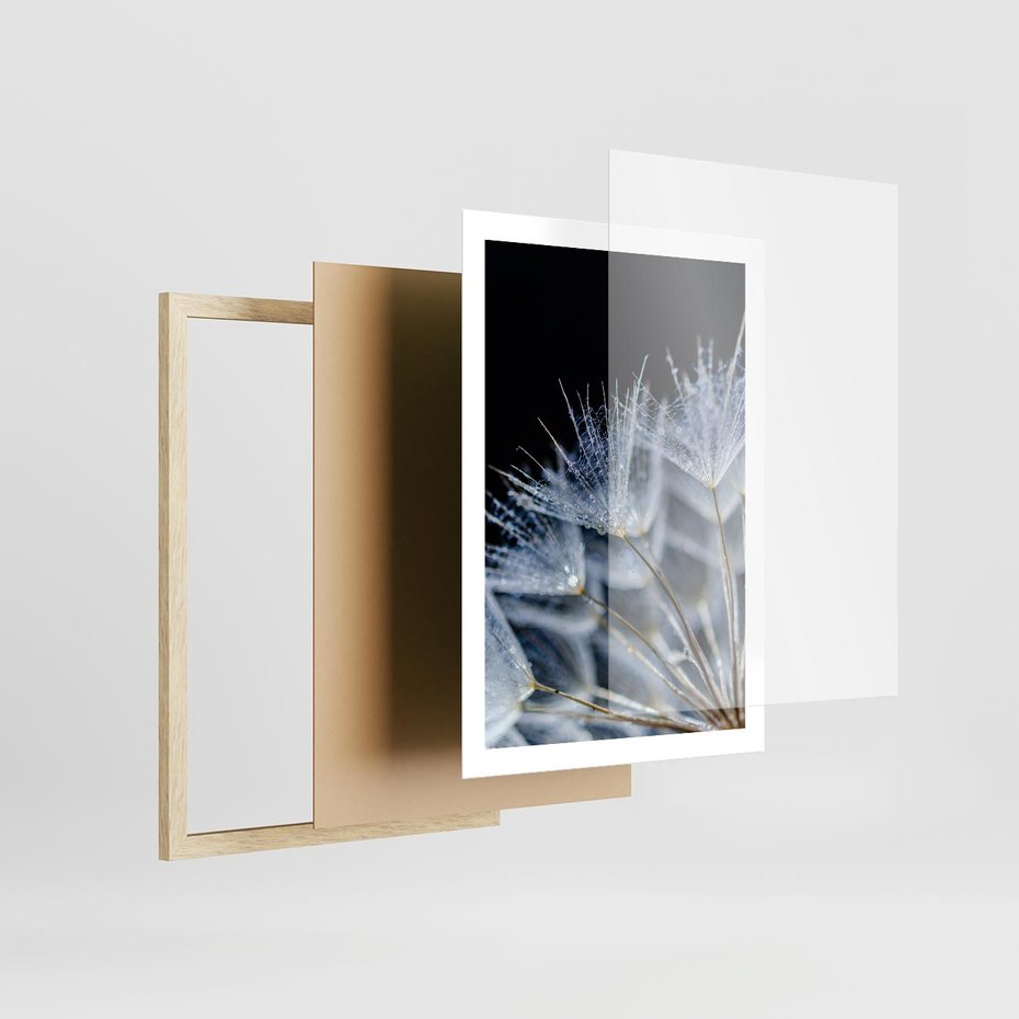 Plakat w ramie 50x70 - Makro piękno dmuchawców - makro, dmuchawce - rama drewno