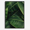 Obraz w ramie 50x70 - Zaklęta roślinna ekspresja - liście bananowca, gęsto ułożone - rama czarna