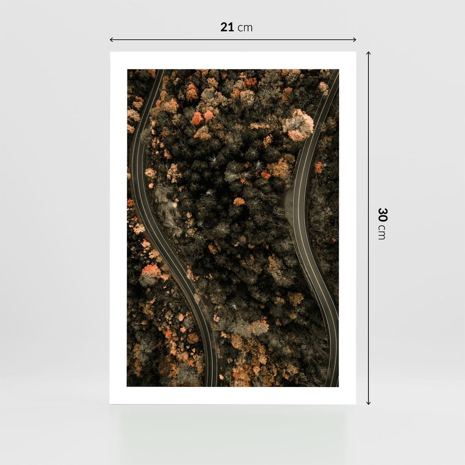 Plakat bez ramy 21x30 - Las i Droga w Kolorach Jesieni - droga, ujęcie z góry