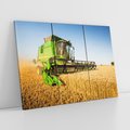 Obraz na płótnie 120x80 - Złociste żniwa na kombajnie - kombajn, zboże