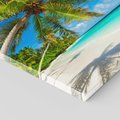 Obraz na płótnie 60x60 - Raj na Malediwach: Plaża, Morze i Palmy - Malediwy, plaża