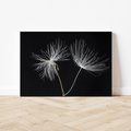 Obraz w ramie 70x50 - Delikatność Wiatru - dmuchawce, makro - rama czarna