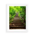 Plakat w ramie 50x70 - Lasowa ścieżka pełna tajemnic - ścieżka, schody - rama biała