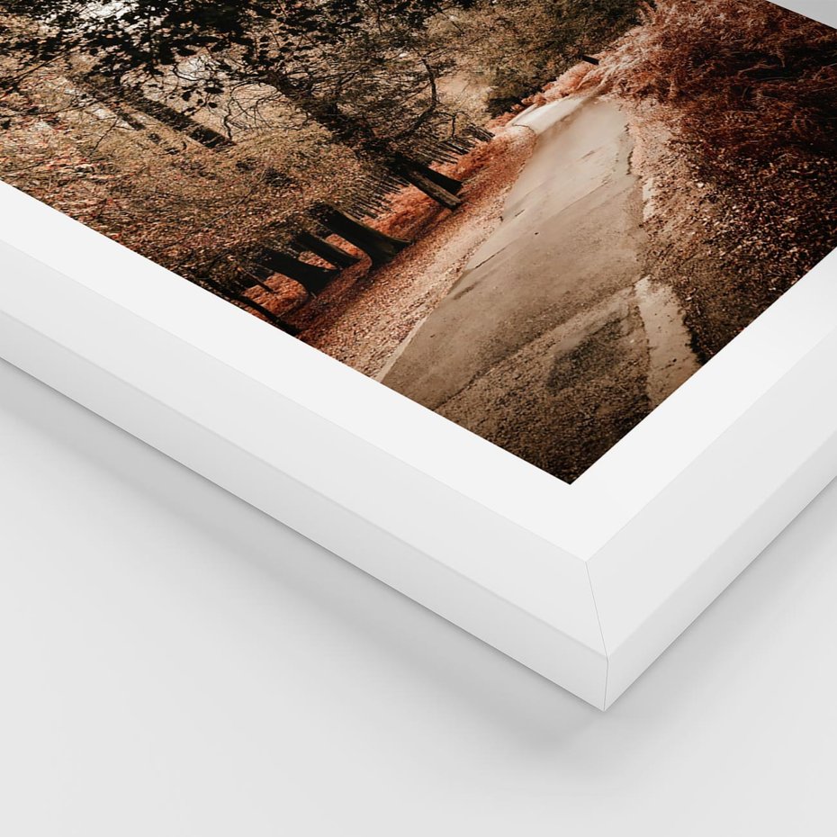 Plakat w ramie 50x70 - Magia Jesieni: Pejzaż Parku w Odcieniach Żółci - jesień, park - rama biała