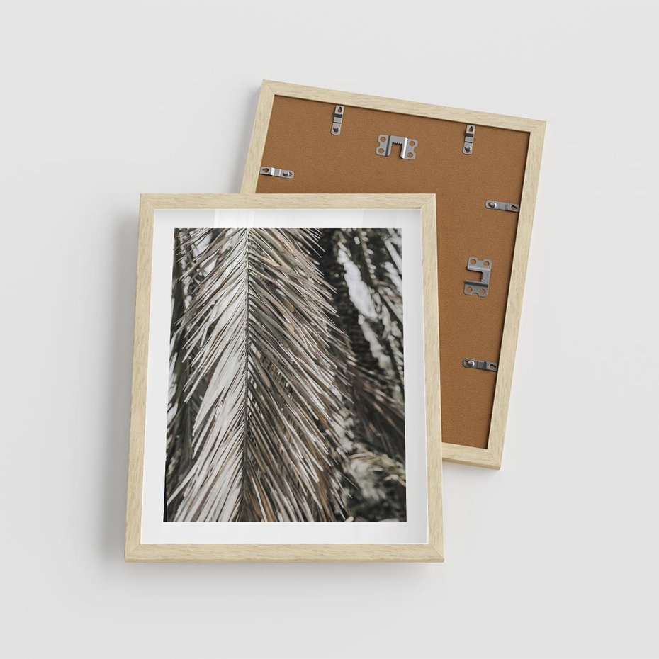 Plakat w ramie 40x50 - Egzotyczne Gałęzie - suche gałęzie, liście palmy - rama drewno