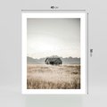 Plakat bez ramy 40x50 - Wiejska Idylla - stary drewniany dom w polu suchej trawy, fotografia