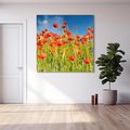 Obraz na płótnie 80x80 - Delikatne maki na kolorowej łące - mak, maki