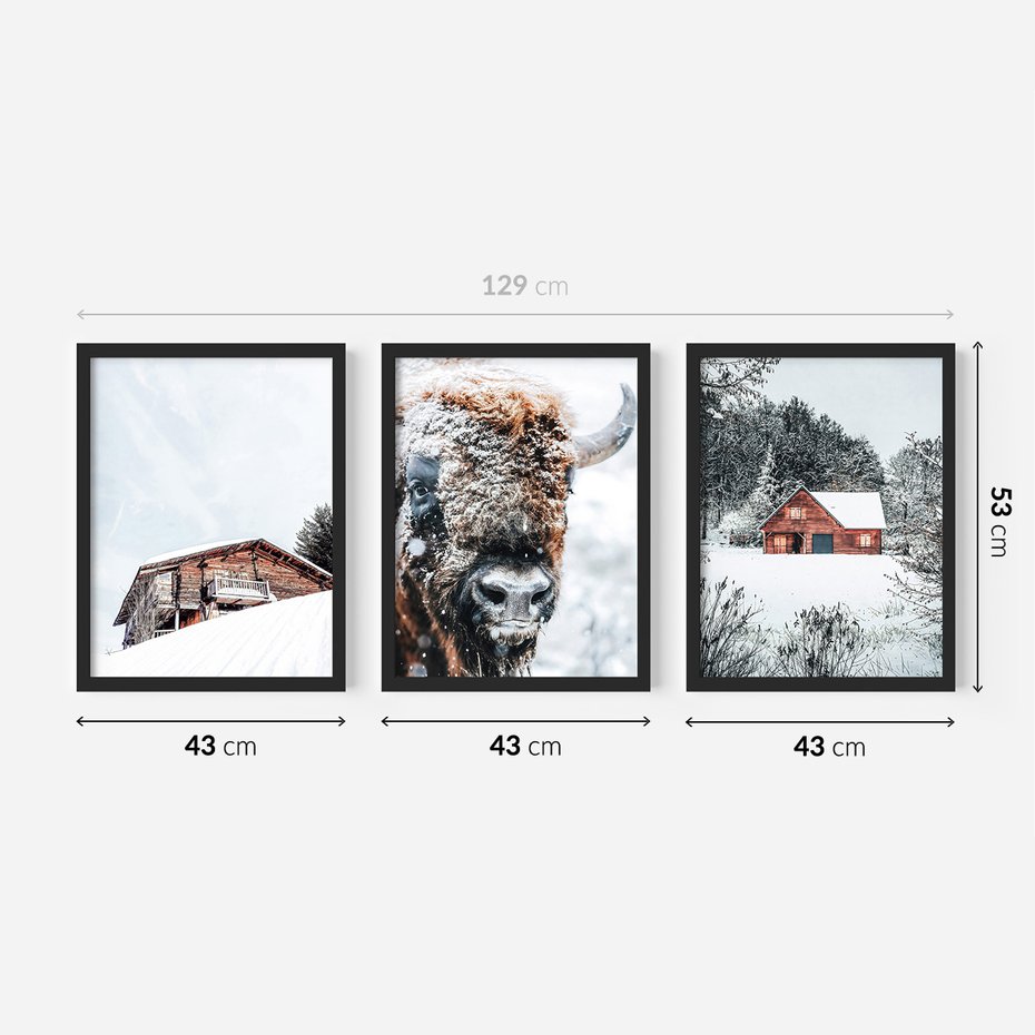 Zestaw obrazy w ramie 40x50 galeria - Zima, bizon, góry, śnieg - rama czarna