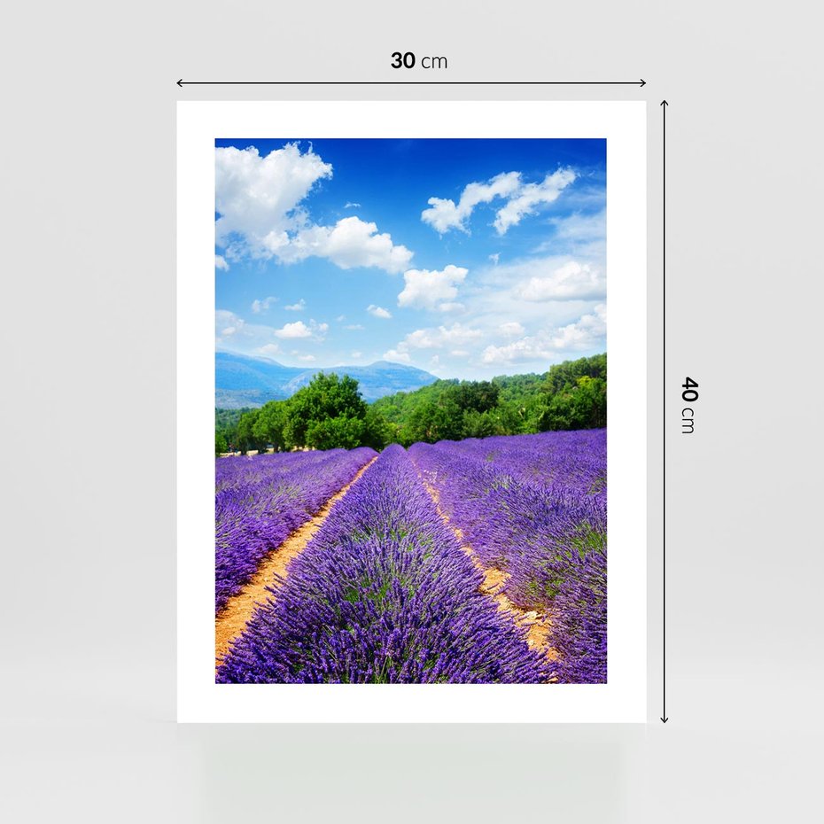 Plakat bez ramy 30x40 - Prowansalska Lawenda - lawenda, prowansja