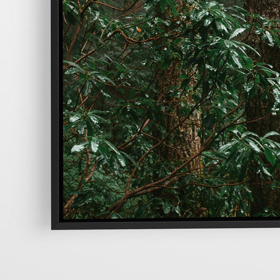 Obraz w ramie 70x50 - Mgliste Marzenia - artystyczna fotografia, las - rama czarna