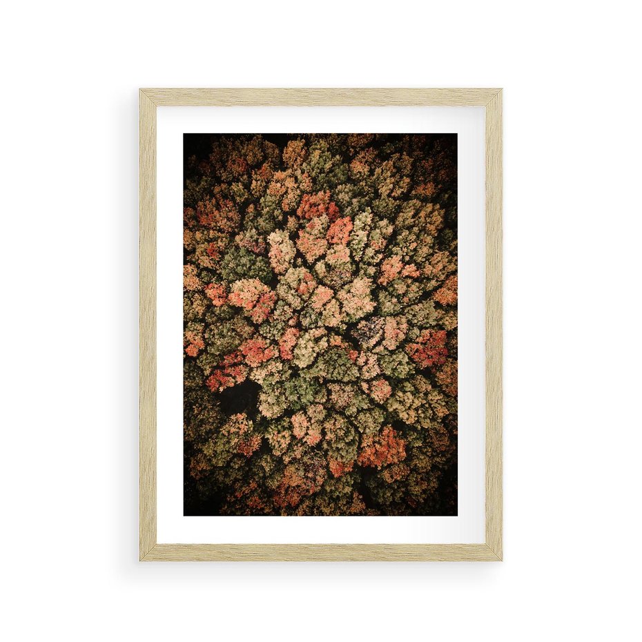 Plakat w ramie 30x40 - Jesień z Lotu Ptaka: Malowniczy Las - las jesienią z lotu ptaka - rama drewno