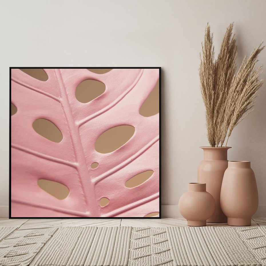 Obraz w ramie 50x50 - Różowa monstera w pełnym rozkwicie - różowa, monstera - rama czarna