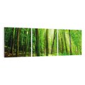 Obraz na płótnie 150x50 - Spacer po urokliwej dróżce w lesie - las, dróżka