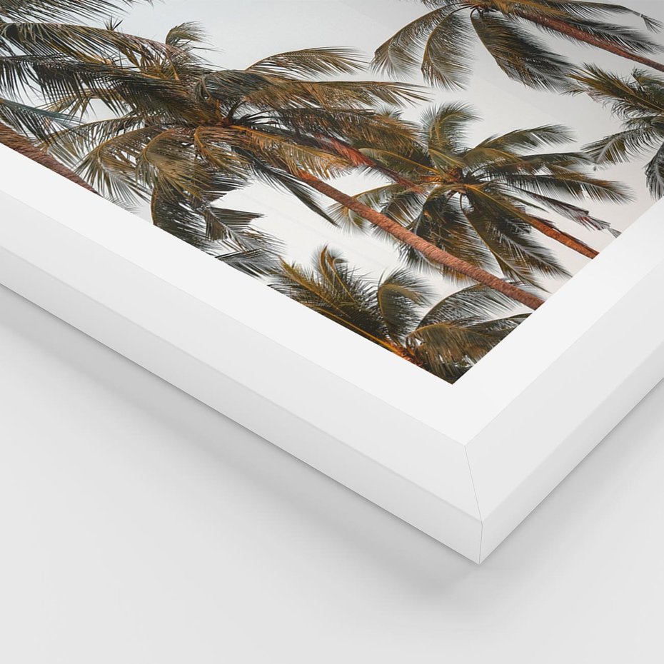 Plakat w ramie 40x50 - Palmy - tęsknota za Hawajami - palmy, Hawaje - rama biała