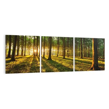Obraz na płótnie 90x30 - Mistyfikujący urok leśnej głuszy - las, drzewa
