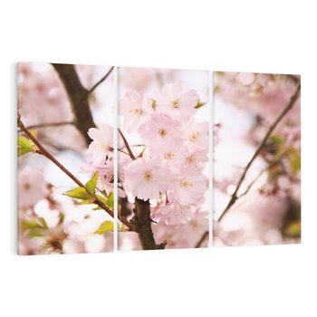 Obraz na płótnie 120x80 - Kwiatowe Różnorodnośc - kwiat, kwiaty