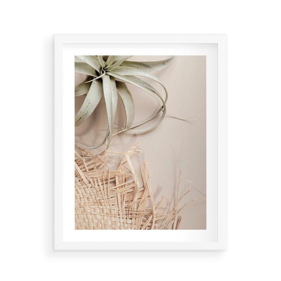 Plakat w ramie 40x50 - Aloes w Stylu Boho - kompozycja, wiklina - rama biała