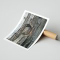 Plakat bez ramy 30x40 - Tajemniczy W świecie Nocy - sowa, dziupla