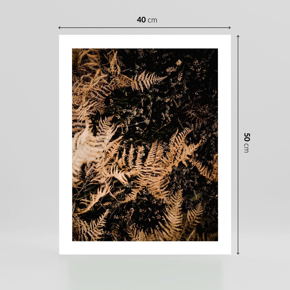 Plakat bez ramy 40x50 - Jesienne Paprocie: Kolorowa Paleta Natury - paprocie, jesień