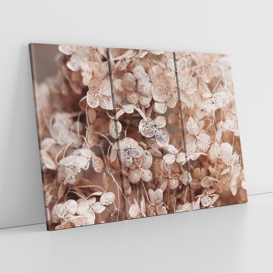 Obraz na płótnie 120x80 - Przemijająca Piękność - fotografia, zbliżenie