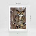 Plakat w ramie 30x40 - Tajemniczy Stróż - sowa, las - rama biała