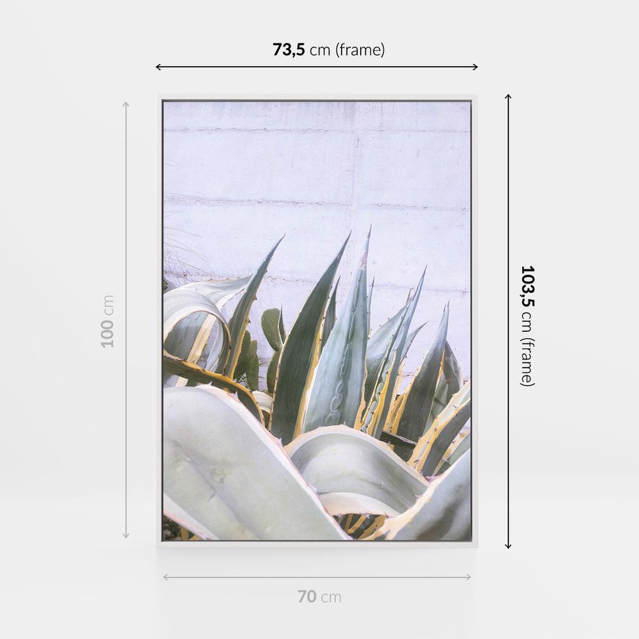 Obraz w ramie 70x100 - Sukulentowe liście - liście, sukulenty - rama biała