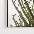 Obraz w ramie 50x70 - Ekskluzywna Roślinność - kaktusy, liście - rama drewno