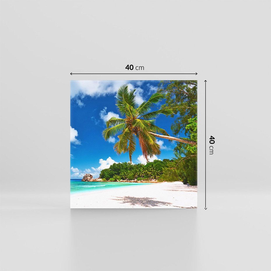 Obraz na płótnie 40x40 - Oaza palm na plaży - palma, plaża