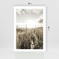 Plakat bez ramy 50x70 - Łąka w Klimacie Sepii - suche trawy, łąka