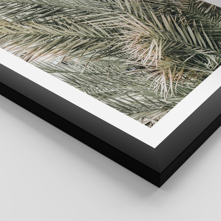Plakat w ramie 50x70 - Egzotyczny Świat Palm - palmy, liście palmy - rama czarna