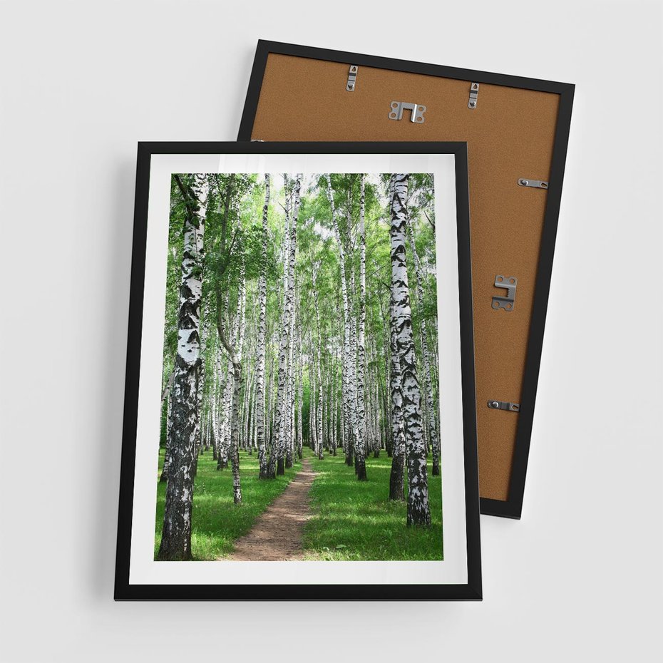 Plakat w ramie 50x70 - Magia lasu pełnego brzóz - las, brzozy - rama czarna