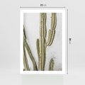 Plakat bez ramy 21x30 - Kaktus w Stylu Boho - kaktus, roślina tropikalna