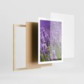 Plakat w ramie 50x70 - Urok lawendy - lawenda, kwiaty - rama drewno