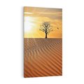 Obraz na płótnie 50x70 - Pustynia - Drzewo i słońce - pustynia, drzewo