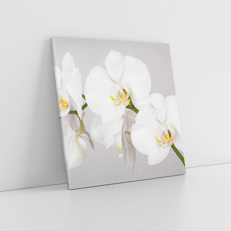 Obraz na płótnie 40x40 - kwiatowy urok - orchidea, kwiat