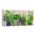 Obraz na płótnie 100x50 - Przyprawy Rośliny Fantazja - przyprawy, rośliny