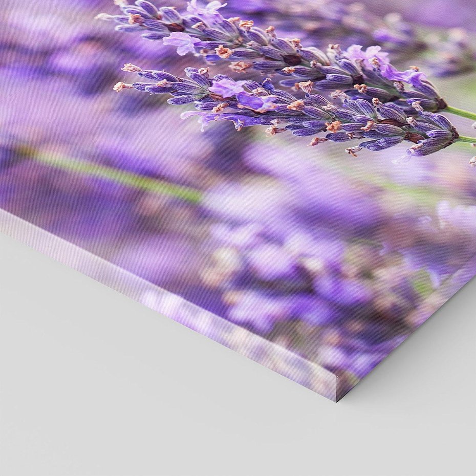 Obraz na płótnie 70x50 - Urok lawendy - lawenda, kwiaty