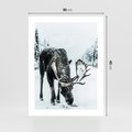 Plakat bez ramy 30x40 - Zimowy Portret Łosia - łoś w zimowej scenerii