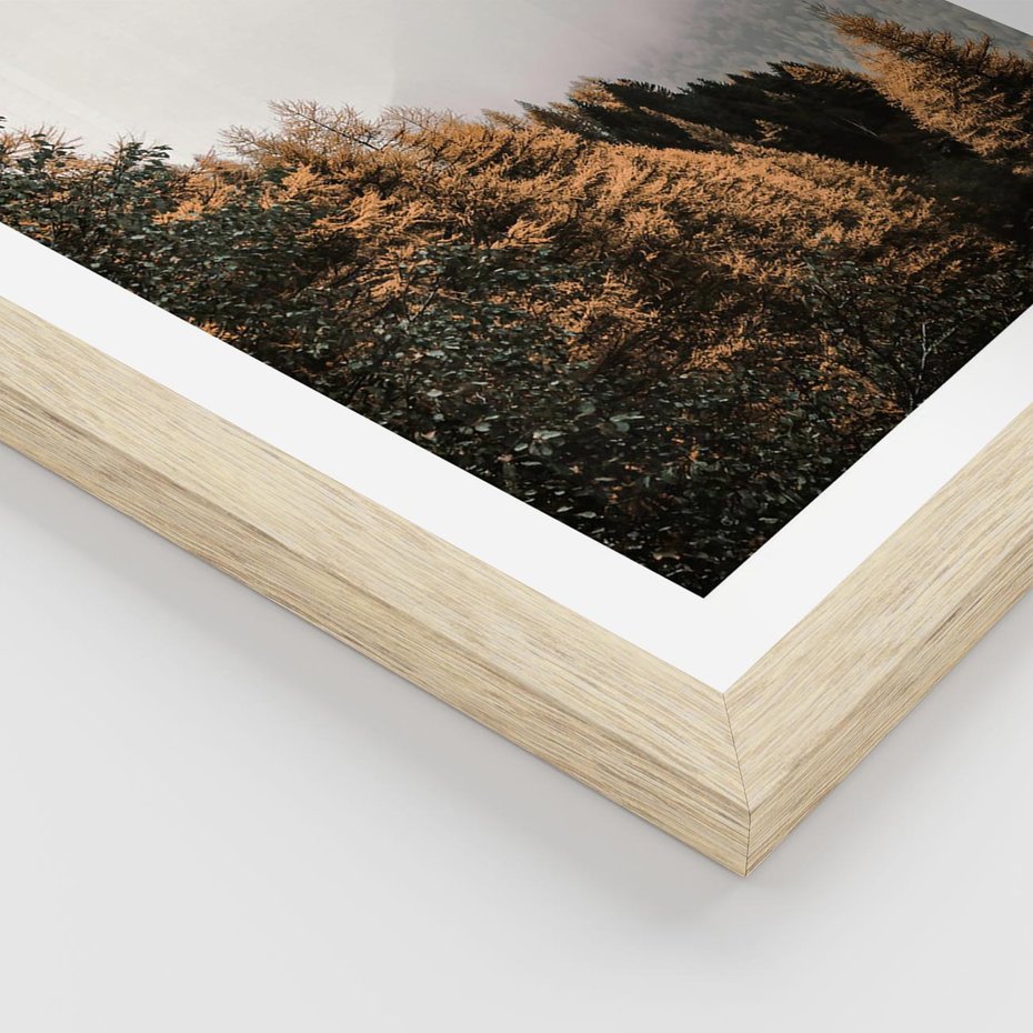 Plakat w ramie 50x70 - Kolorowa Jesień w Górskim Lesie - las, jesień - rama drewno