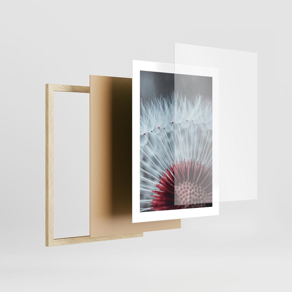 Plakat w ramie 30x40 - Dmuchawiec w Detalu - dmuchawiec, zdjęcie makro - rama drewno