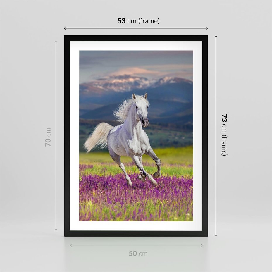 Plakat w ramie 50x70 - Koń Góry: Spotkanie z Wielką Przyrodą - koń, góry - rama czarna
