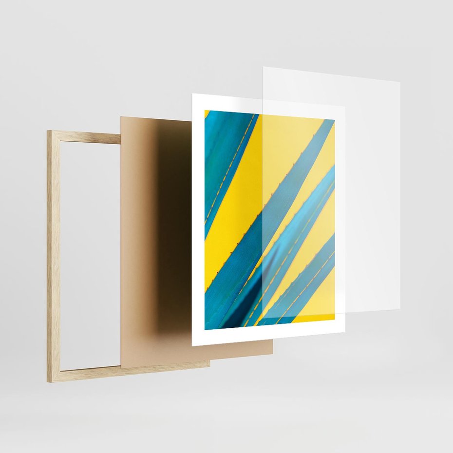 Plakat w ramie 40x50 - Świeżość Natury - aloes, liście - rama drewno