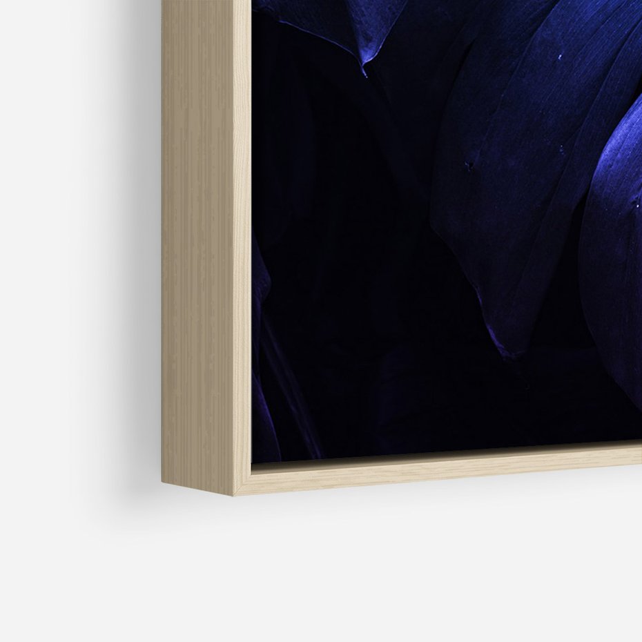 Obraz w ramie 50x70 - Mroczna Magia Dżungli - mroczna grafika, fioletowe liście monstery na czarnym tle - rama drewno