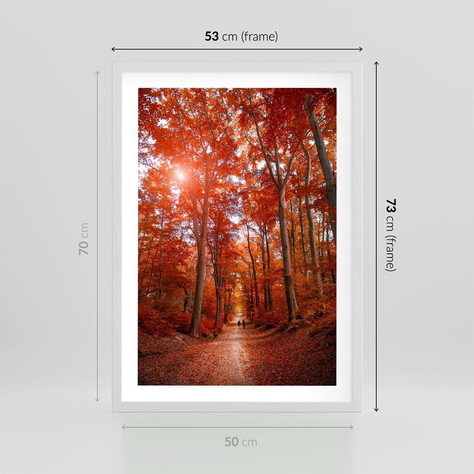 Plakat w ramie 50x70 - Magia jesiennego lasu - las, jesień - rama biała