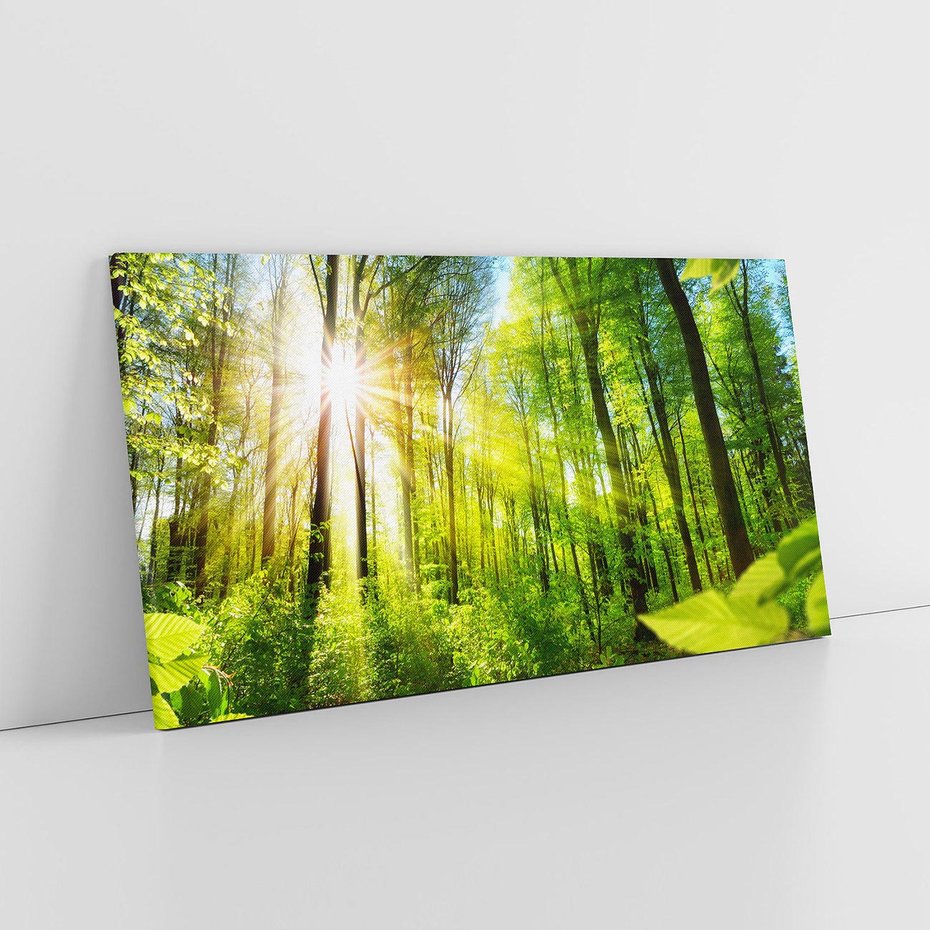 Obraz na płótnie 120x60 - Magia Leśnej Przyrody - las, drzewa